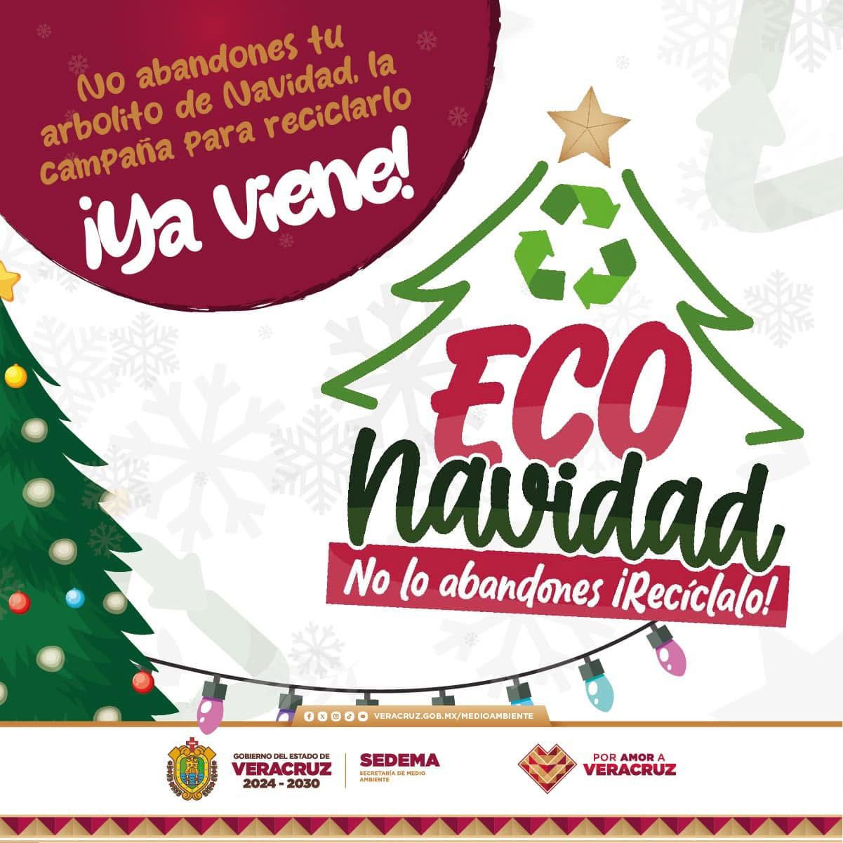Por iniciar el Programa de Reciclaje Eco Navidad